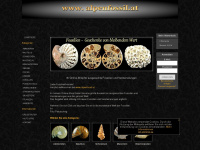 alpenfossil.at