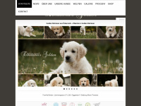 goldenretrievers.co.at