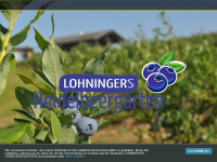 Lohningers-heidelbeergarten.at