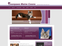 Maine-coon-cat.at