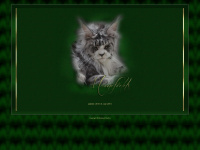 Maine-coons.at