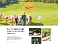 Mallhof.at