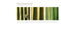 Mm-consulting.at