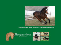 Morgan-horse.at