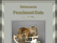 Penobscotcats.at