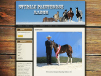 Styrian-painthorse-ranch.at