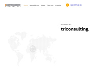Triconsulting.at