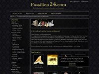 fossilien24.com