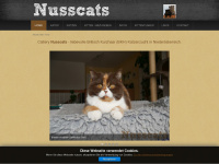 Nusscats.at