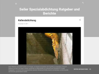 Seilerspezialabdichtungratgeber.blogspot.com
