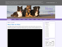 once-in-a-lifetime-dogs.at