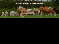 bioweidehof.at