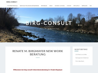 birg-consult.at