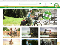 Emotion-ebikes.at
