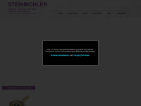 steinbichler-austria.com