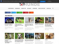 Tophunde.com