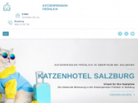 katzenhotel-salzburg.at