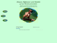 afghanen.at