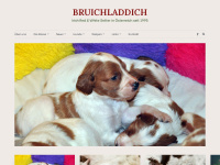 bruichladdich.at