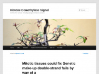 Histonedemethylase-signal.com