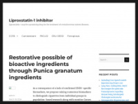 Liproxstatin-1inhibitor.com