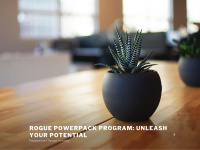 roguepowerpack.org