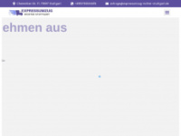 Expressumzug-richter-stuttgart.de
