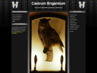 castrumbrigantium.at