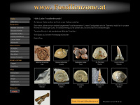 fossilienzone.at