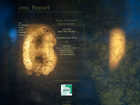 Cms-report.at
