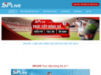 splive.site