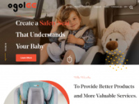 childsafetyseat.net